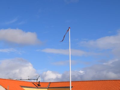 dsc_1556